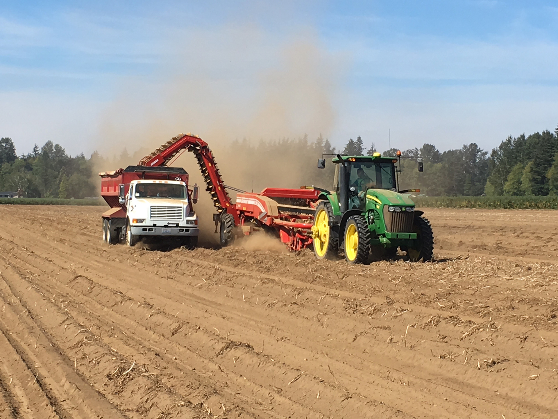 Harvest